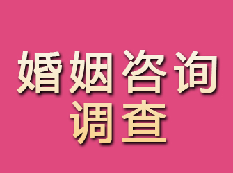 保亭婚姻咨询调查